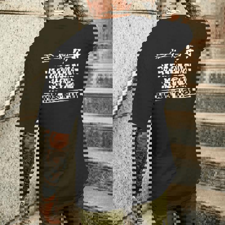 パタゴニア・シープドッグのオーナーズ メンズTシャツ バックプリント 彼への贈り物