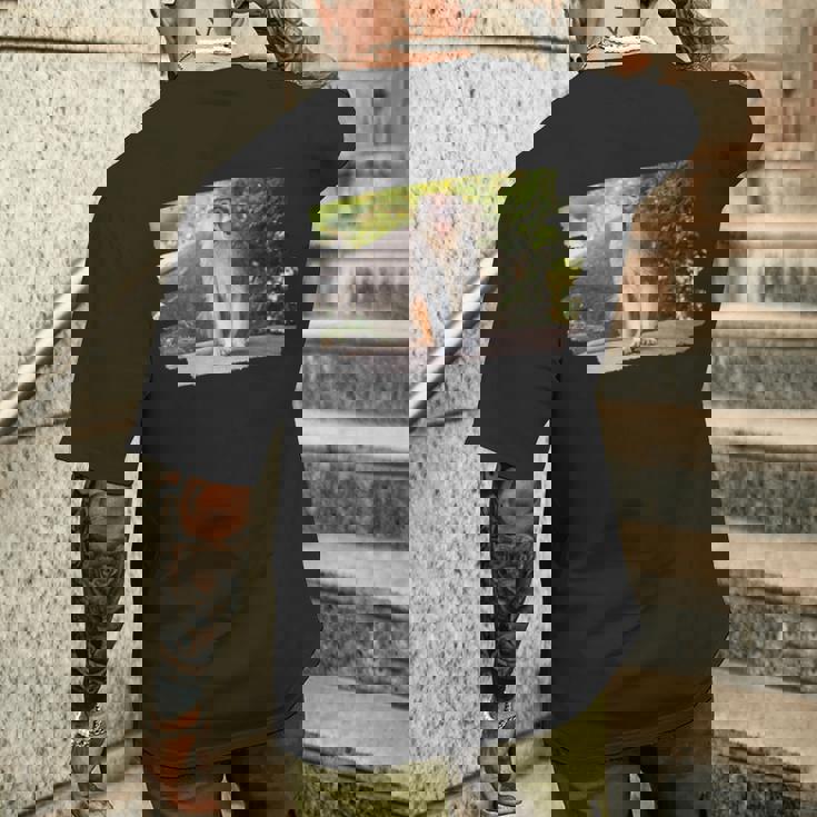 パタス・モンキー メンズTシャツ バックプリント 彼への贈り物