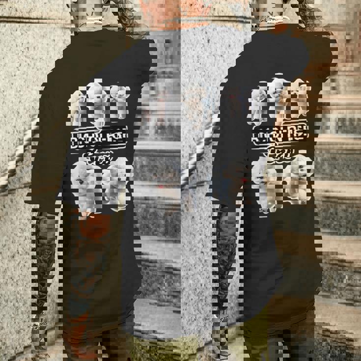 ビション・フリーゼ クルー メンズTシャツ バックプリント 彼への贈り物