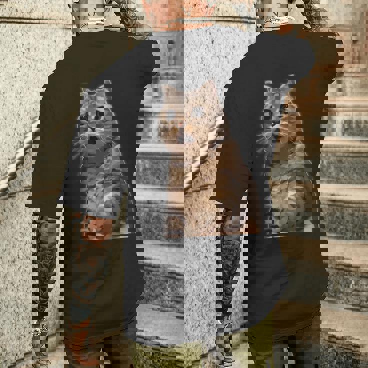 ビックリ猫 驚く猫 猫ミーム びっくり おどろく かわいい 面白い 人気 猫 イラスト メンズTシャツ バックプリント 彼への贈り物