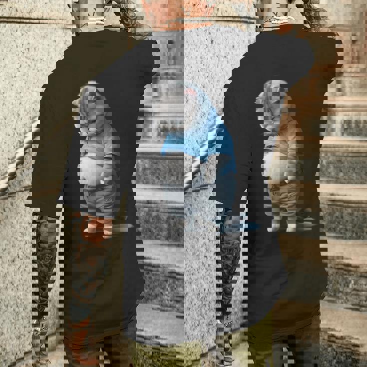 ファニー ファット 悲しい猫 アートデザイン 太った子猫 猫好き メンズTシャツ バックプリント 彼への贈り物