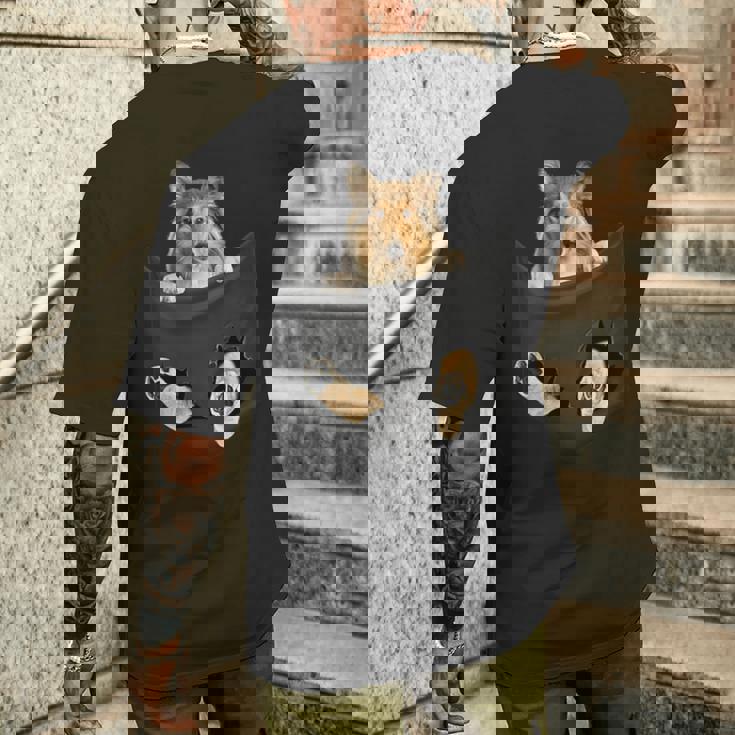 ポケットに入ったセーブルコリー犬、ラフコリーの子犬のぞき見 メンズTシャツ バックプリント 彼への贈り物