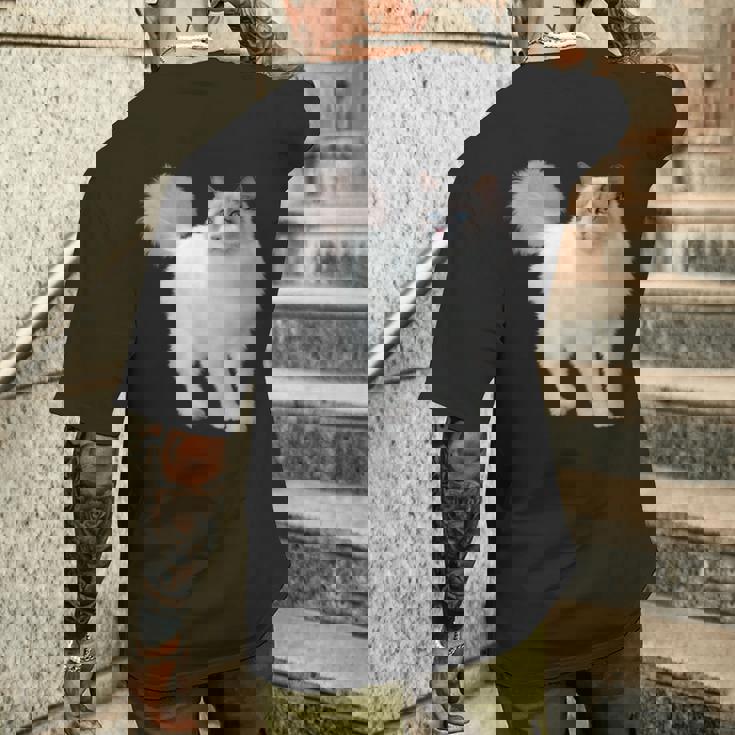 ラグドール 猫のポートレート ラグドール キャットヘッド ラグドール 猫の顔 メンズTシャツ バックプリント 彼への贈り物