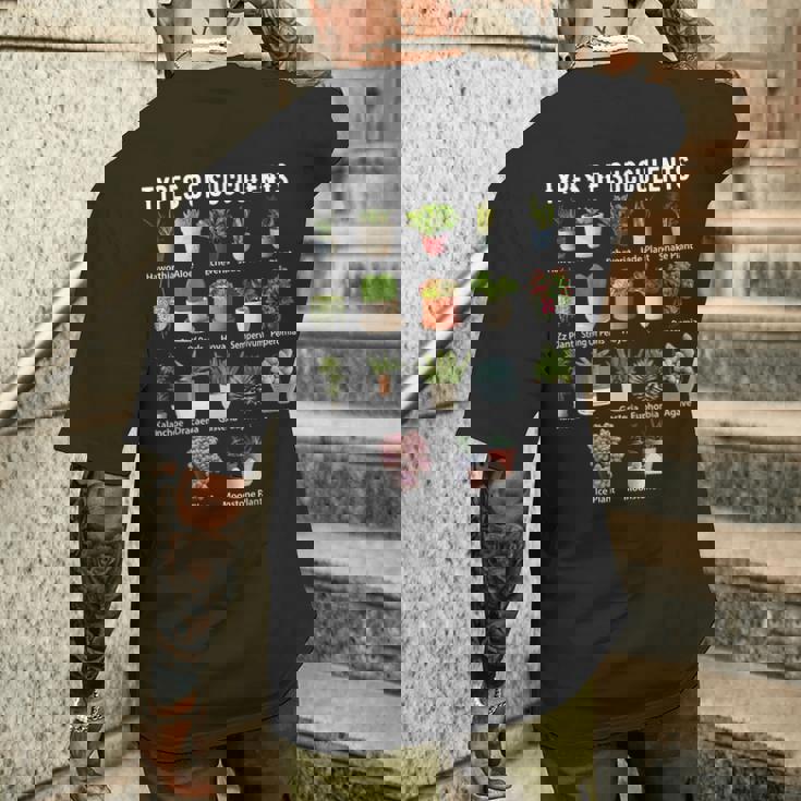 多肉植物の種類 シャツ 多肉植物 多肉植物 庭 メンズTシャツ バックプリント 彼への贈り物