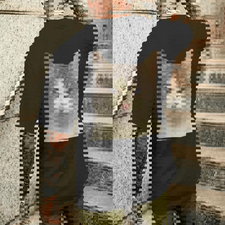 怒っている猫 リアル ミーム ウイルス インターネット メンズTシャツ バックプリント 彼への贈り物