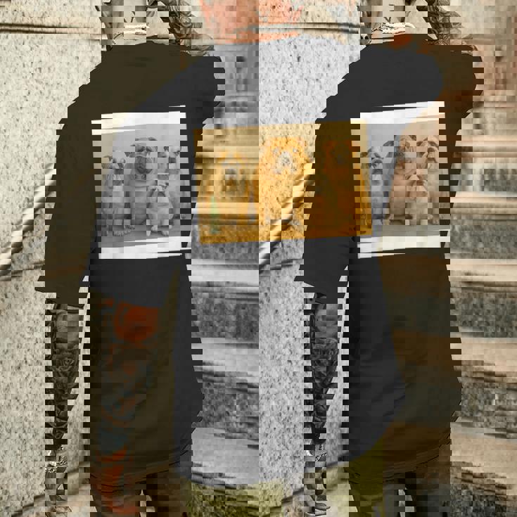 日本ブルドッグファミリー メンズTシャツ バックプリント 彼への贈り物