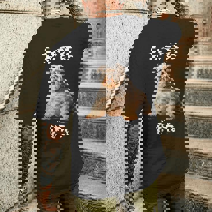 面白いtシャツ シュナウザー わがままボディ イヌ 犬 メンズ 犬好き グッズ おもしろ 面白い 服 ネタ メンズTシャツ バックプリント 彼への贈り物