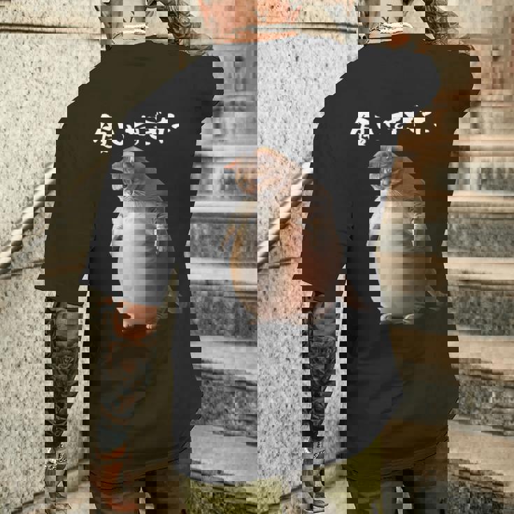 面白いtシャツ 猫 ネコ メンズ 猫好き グッズ おもしろ 面白い 服 ネタ にゃんこ 猫の下僕 ダイエット メンズTシャツ バックプリント 彼への贈り物