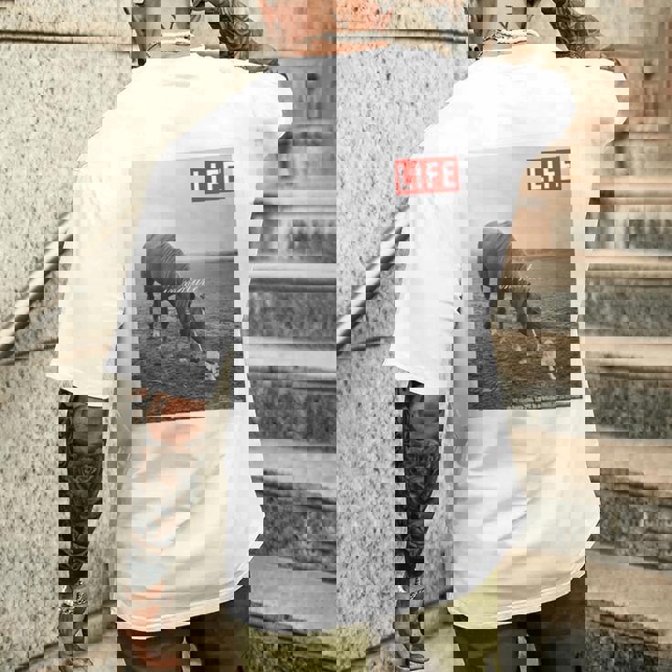 Life Picture Collection 馬と猫（1） メンズTシャツ バックプリント 彼への贈り物