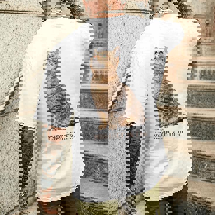 Mischief In Fur 猫写真 キジトラ 猫好き ネタ 猫しもべ 猫飼い 猫依存症 猫オーナー メンズTシャツ バックプリント 彼への贈り物