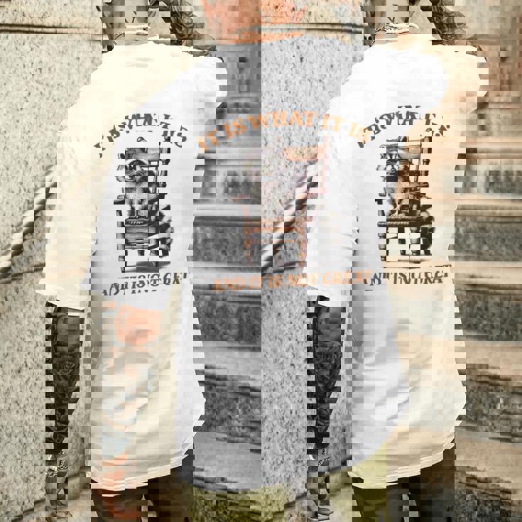 アライグマのミーム It's What It's And It Is Not Greatarcastic メンズTシャツ バックプリント 彼への贈り物