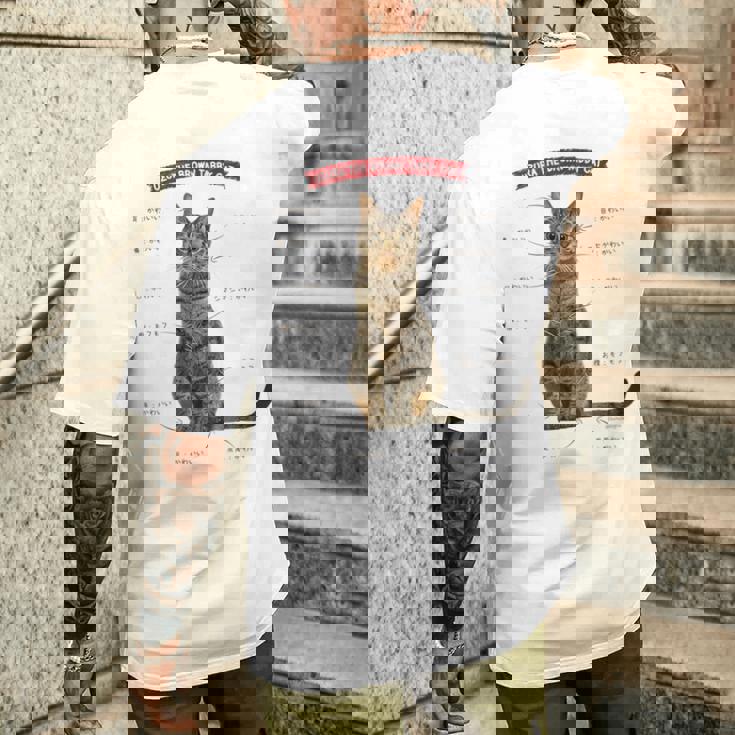 キジトラねこ、うずら 猫 キジトラ猫 鶉 かわいい Cat （ホワイト） メンズTシャツ バックプリント 彼への贈り物