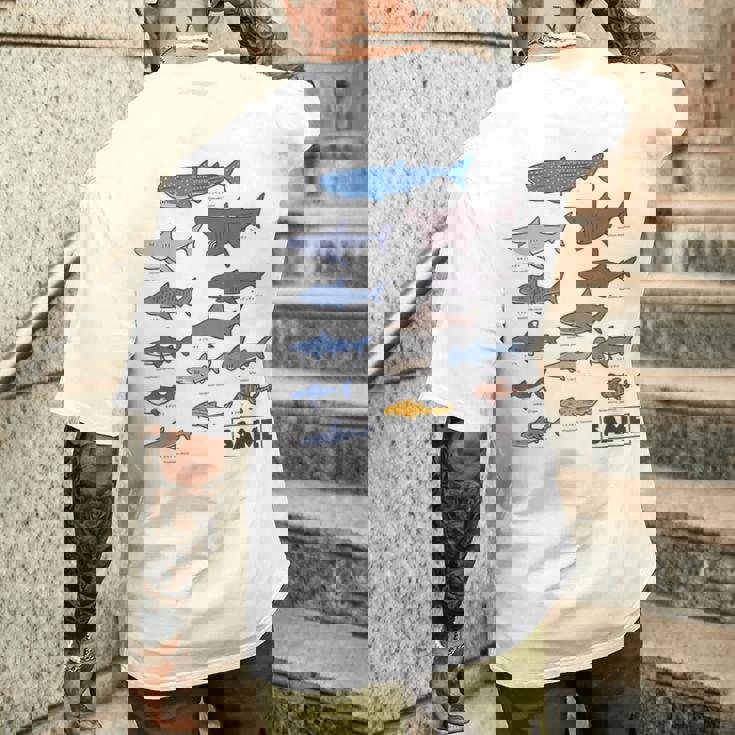 サメ図鑑 メンズTシャツ バックプリント 彼への贈り物