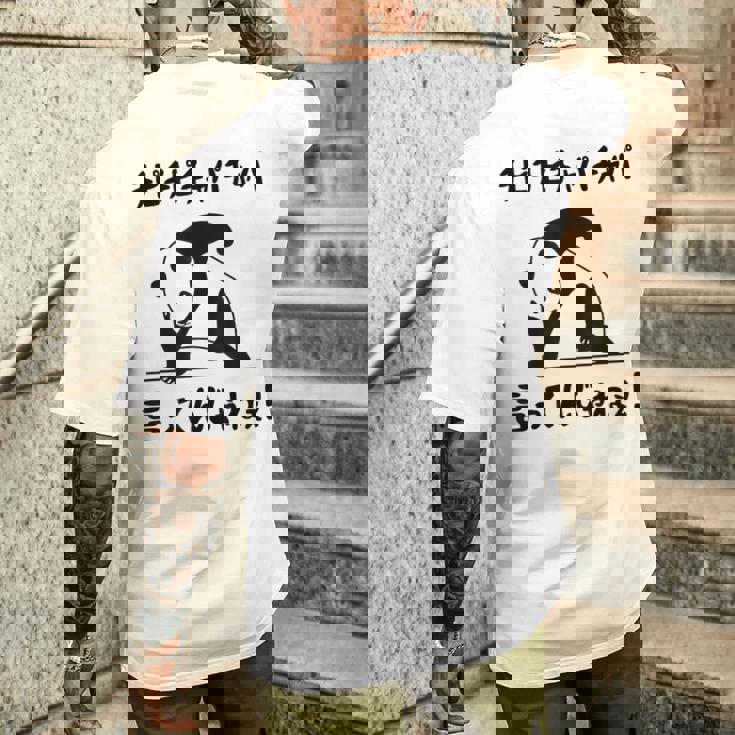 チピチピチャパチャパ言ってんじゃねぇ！ バズり 猫ミーム ネタ パンダ パンダ好き 動物好き ネタ好き おもしろ メンズTシャツ バックプリント 彼への贈り物