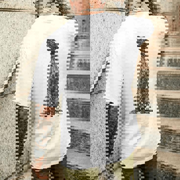 ドッグ・プロット・ハウンド メンズTシャツ バックプリント 彼への贈り物