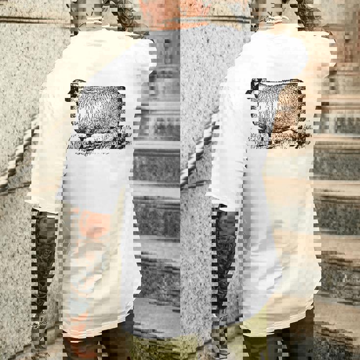 ビンテージ羊の描画 メンズTシャツ バックプリント 彼への贈り物