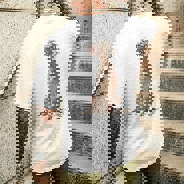 ワイマラナー 犬 グラフィック ペット イラスト ワイマラナー メンズTシャツ バックプリント 彼への贈り物