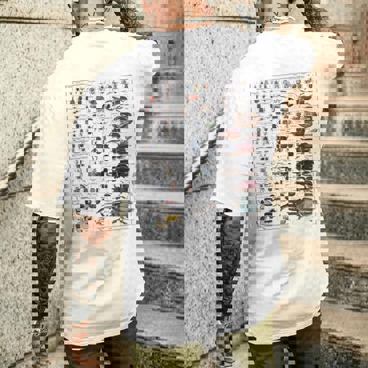 昆虫コレクション種ヴィンテージバグチャート昆虫学 メンズTシャツ バックプリント 彼への贈り物