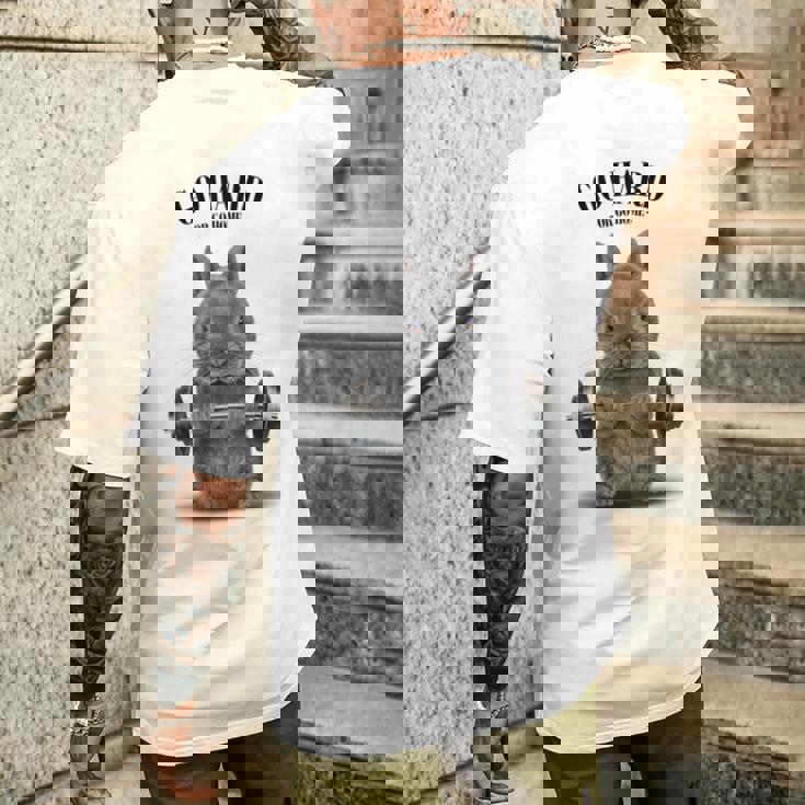 筋トレ ネザーランドドワーフ ウサギ ブルー メンズTシャツ バックプリント 彼への贈り物