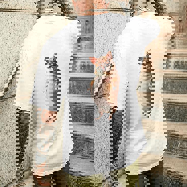 面白いtシャツ チワワ 犬 わがままボディ イヌ わんこ メンズ 犬好き グッズ おもしろ 面白い 服 ネタ 長袖tシャツ メンズTシャツ バックプリント 彼への贈り物