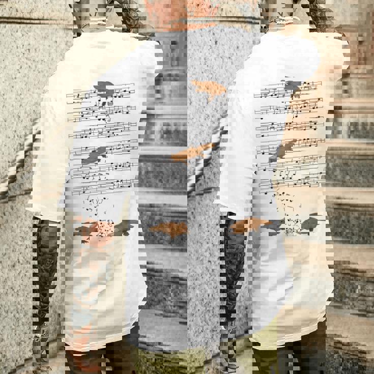 音符で遊ぶ面白いカモノハシ メンズTシャツ バックプリント 彼への贈り物