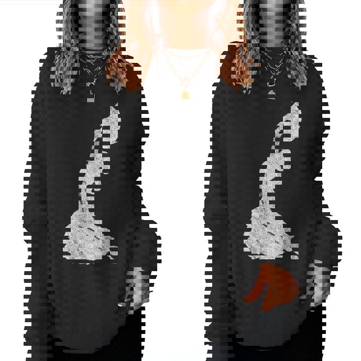 フラメンコ ダンサー ドレス スペイン エスパーニャ 女性用 男性用 フラメンコ レディーススウェットシャツ