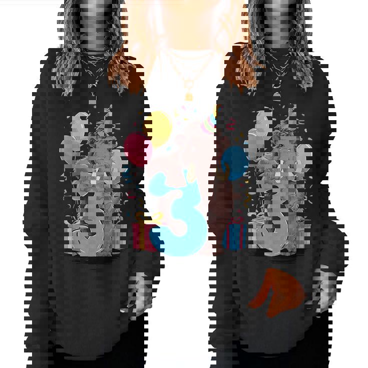 マンモス 3歳の誕生日 男の子 女の子 3歳 3歳 マンモス レディーススウェットシャツ