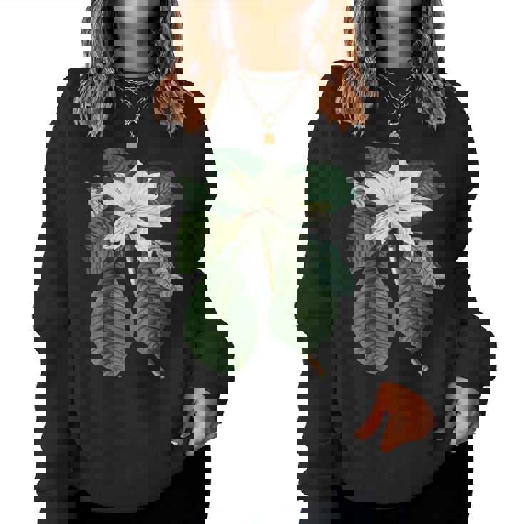 白モクレン花 ボタニカルアート レディーススウェットシャツ