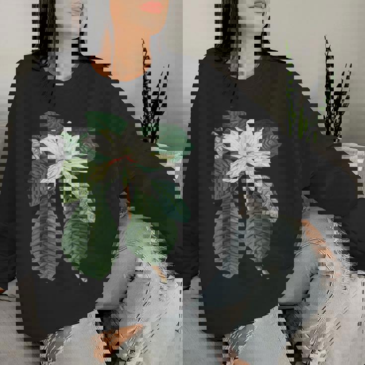 白モクレン花 ボタニカルアート レディーススウェットシャツ 彼女への贈り物