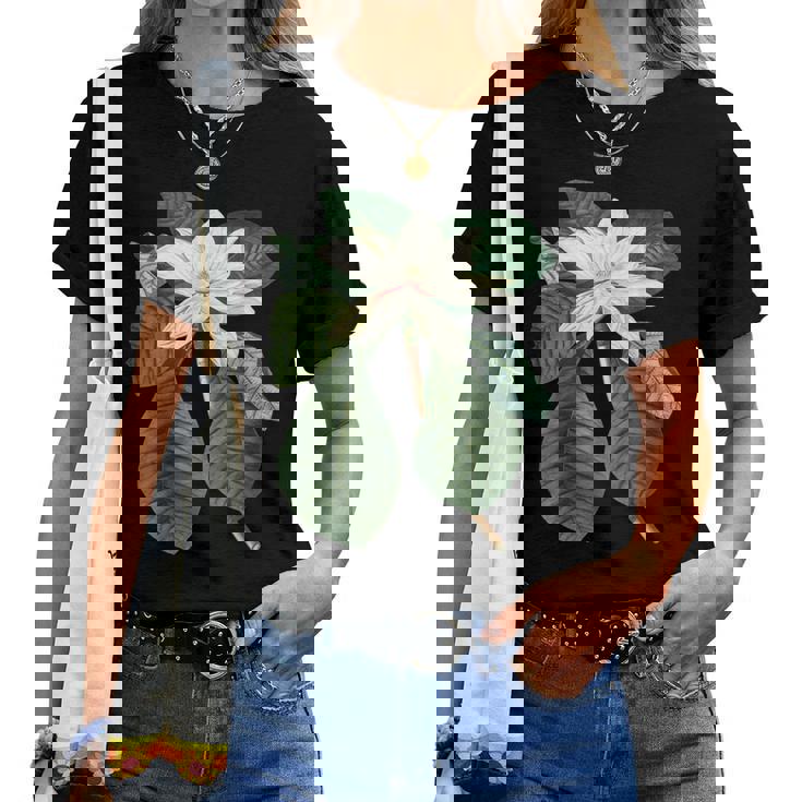 白モクレン花 ボタニカルアート レディースTシャツ