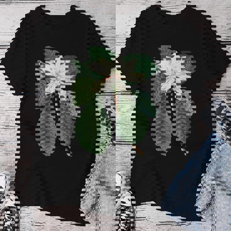 白モクレン花 ボタニカルアート レディースTシャツ 面白い贈り物