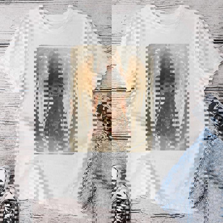 Pinup Girl 男性用 セクシーエンジェルガール 2 バックプリント レディースTシャツ 面白い贈り物