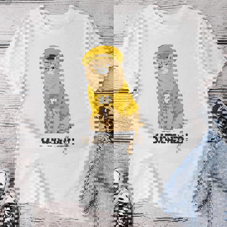 傘寿祝い 猫 ねこ ちゃんちゃんこ 男性 女性 猫好き 傘寿 お祝い 80歳 かわいい おもしろ ベージュ猫 レディースTシャツ 面白い贈り物