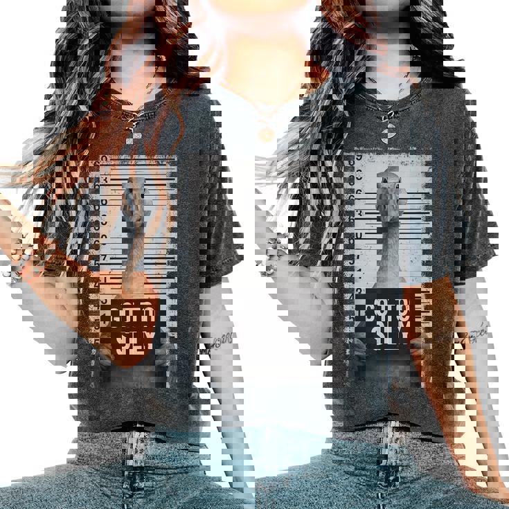 Goose Gotilly Meme 動物愛好家 マグショット 男の子 女の子 レディースオーバーサイズコンフォートTシャツ