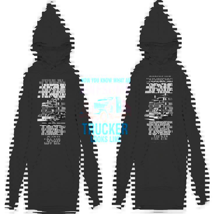 Awesome Trucker セミトラックドライバー ビッグリグ トラッカー パーカー