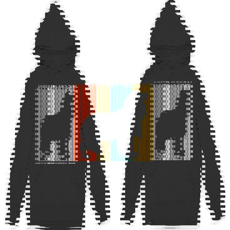 Cavalier King Charlespaniel キャバリア・キング・チャールズ・スパニエル パーカー