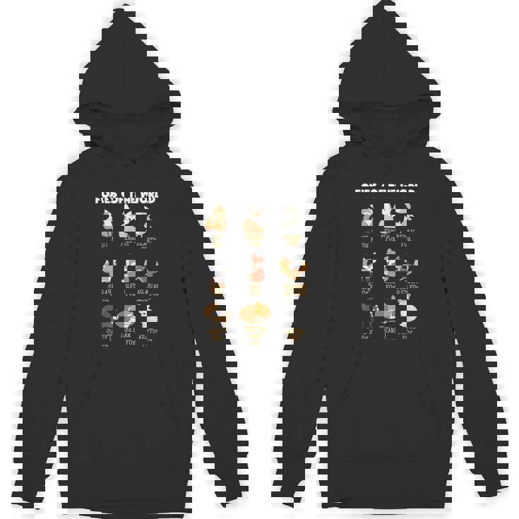 Cool Foxes Of The Worldかわいいキツネ動物愛好家ギフト パーカー