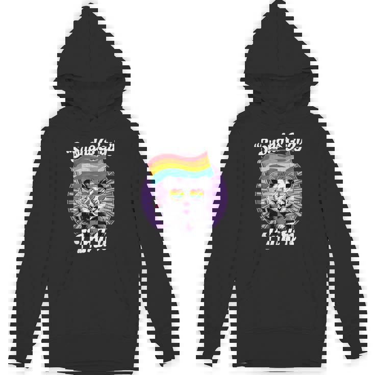 Cute Lgbtq Possum Holding Flag With Sounds Gay Quote Hoodie