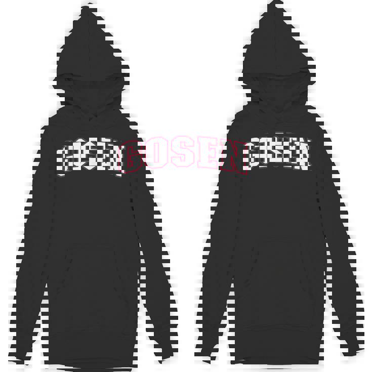 Gosen Japan Nihon 日本 ゴセン Gosen パーカー