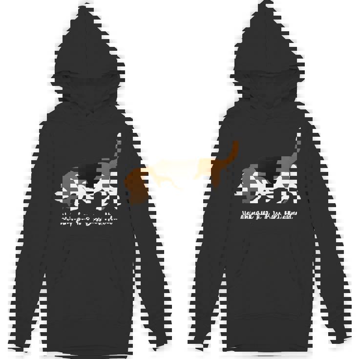 Nothing But A Basset Hound Dog Love For The Basset Baritone パーカー