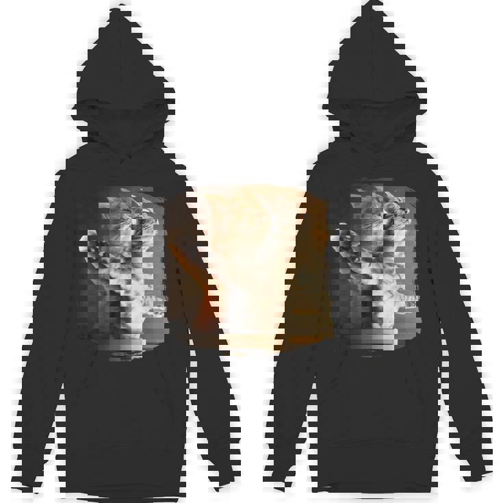 TitaniCムービーにインスパイアされた面白い猫好きのミーム。 パーカー