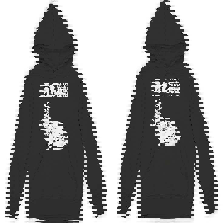 うさぎの撫で方解説 ウサギ好き うさぎ好き うさぎの飼い主 おもしろ うさぎ 兎 Hoodie