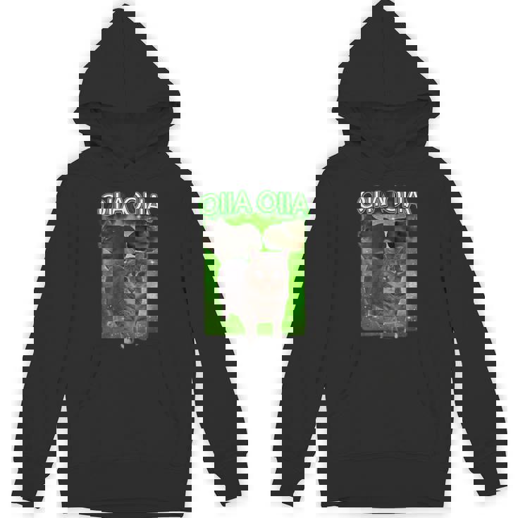 おもしろいいいあ オイア スピニングキャット ミーム おおいいあい 猫 パーカー