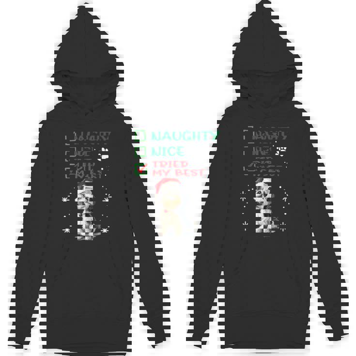 かわいい ダンディ ディンモント テリア 犬 クリスマス いたずら 素敵 試した パーカー