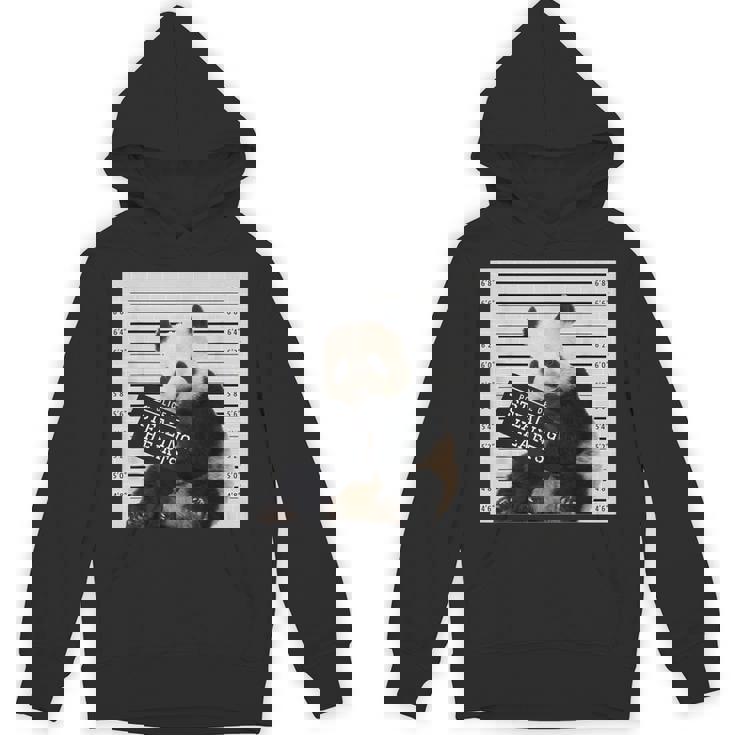 かわいいパンダの顔写真 犯罪者パンダ パーカー