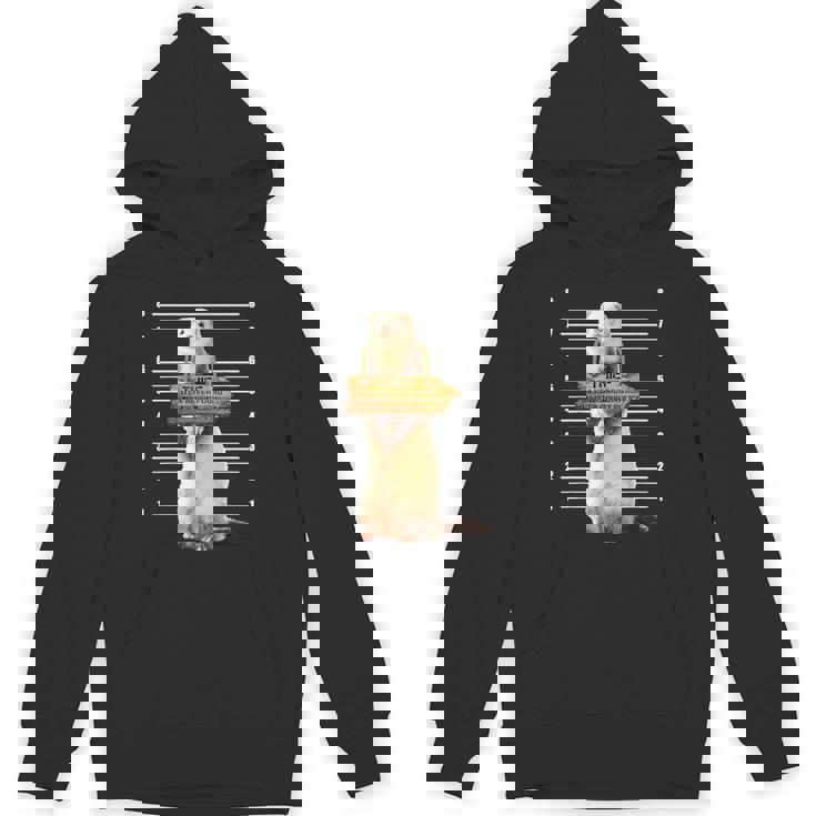 かわいいフェレット泥棒 面白い動物 パーカー