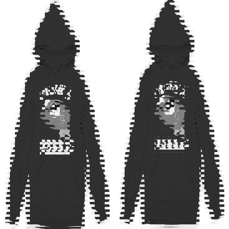 アイム・ジャスト・ア・ペブル・ダンディーズ・ワールド パーカー