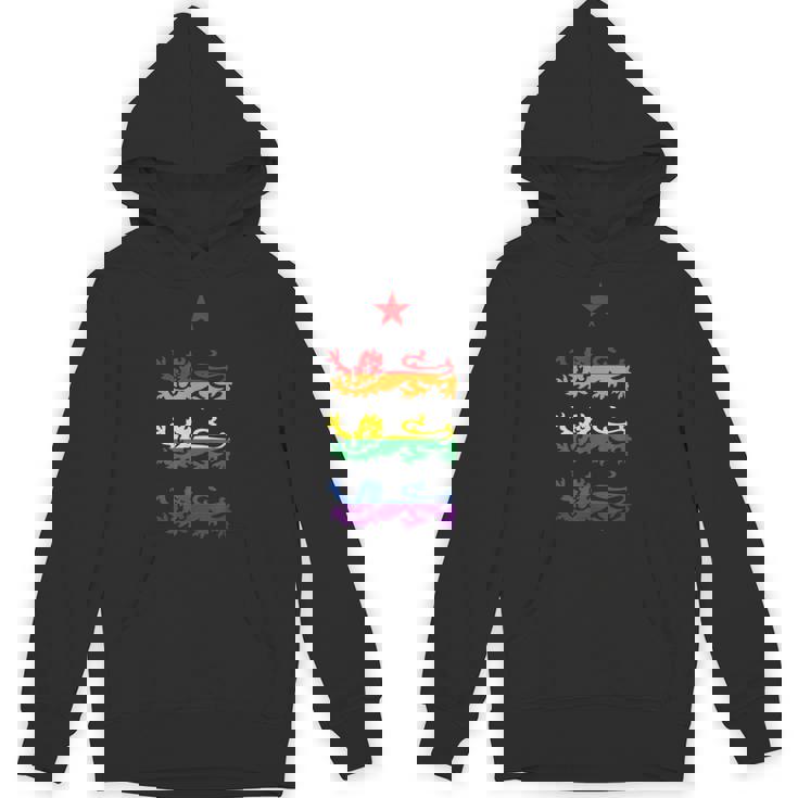 イングランド スリーレインボー プライド 紋章ライオンズ サッカー フットボール パーカー