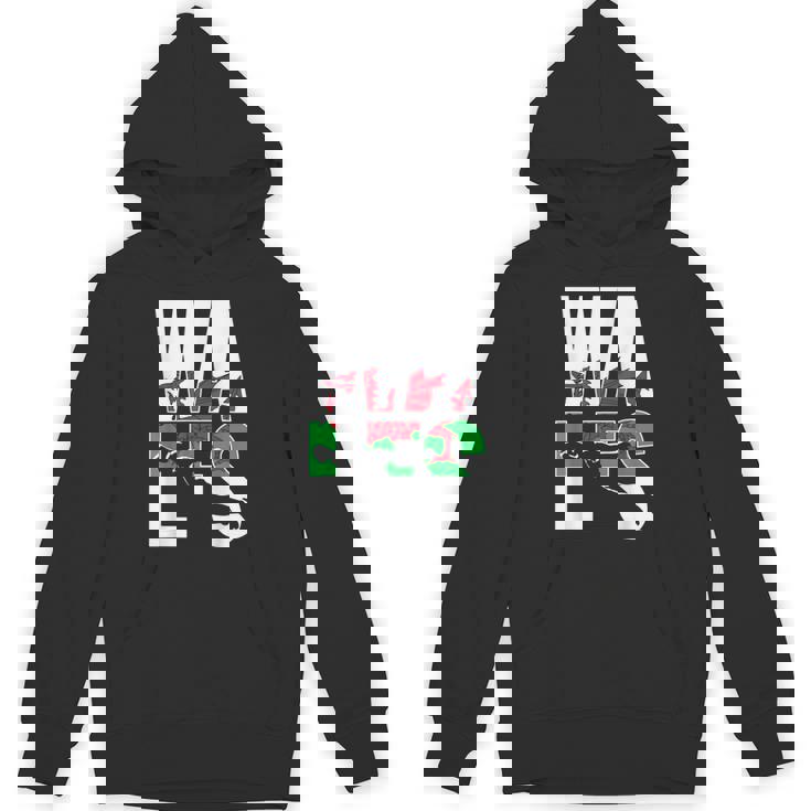 ウェールズサポーターズ ジャージキット ユニオンギフト ウェールズラグビーファン パーカー