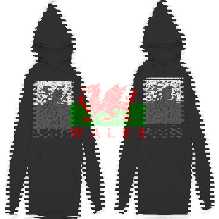 ウェールズ国旗 ウェールズ ドラゴン アンティーク調 メンズ レディース キッズ パーカー